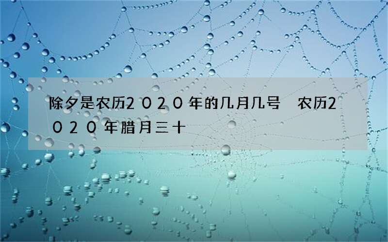 除夕是农历2020年的几月几号 农历2020年腊月三十